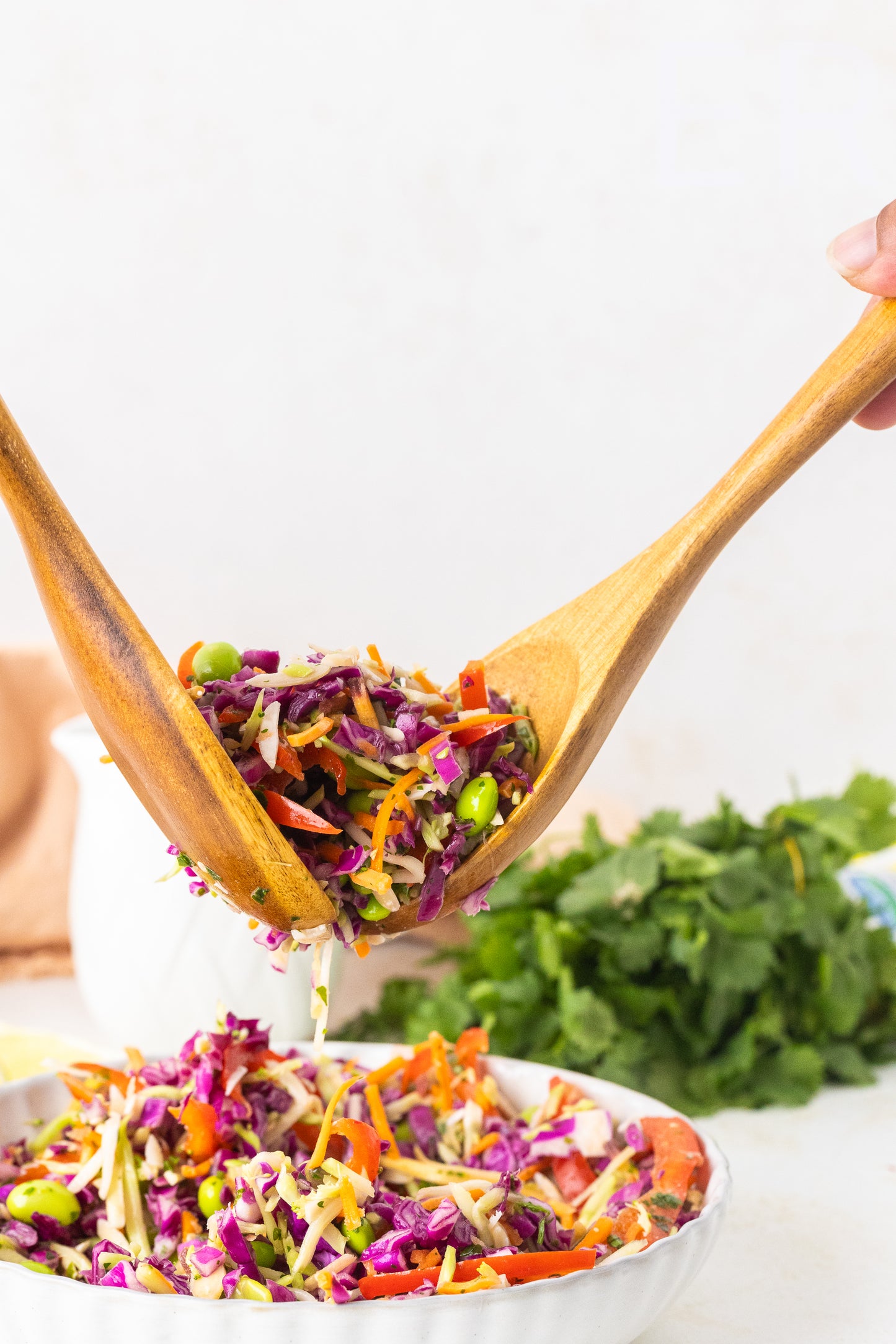 Asian Cabbage Salad