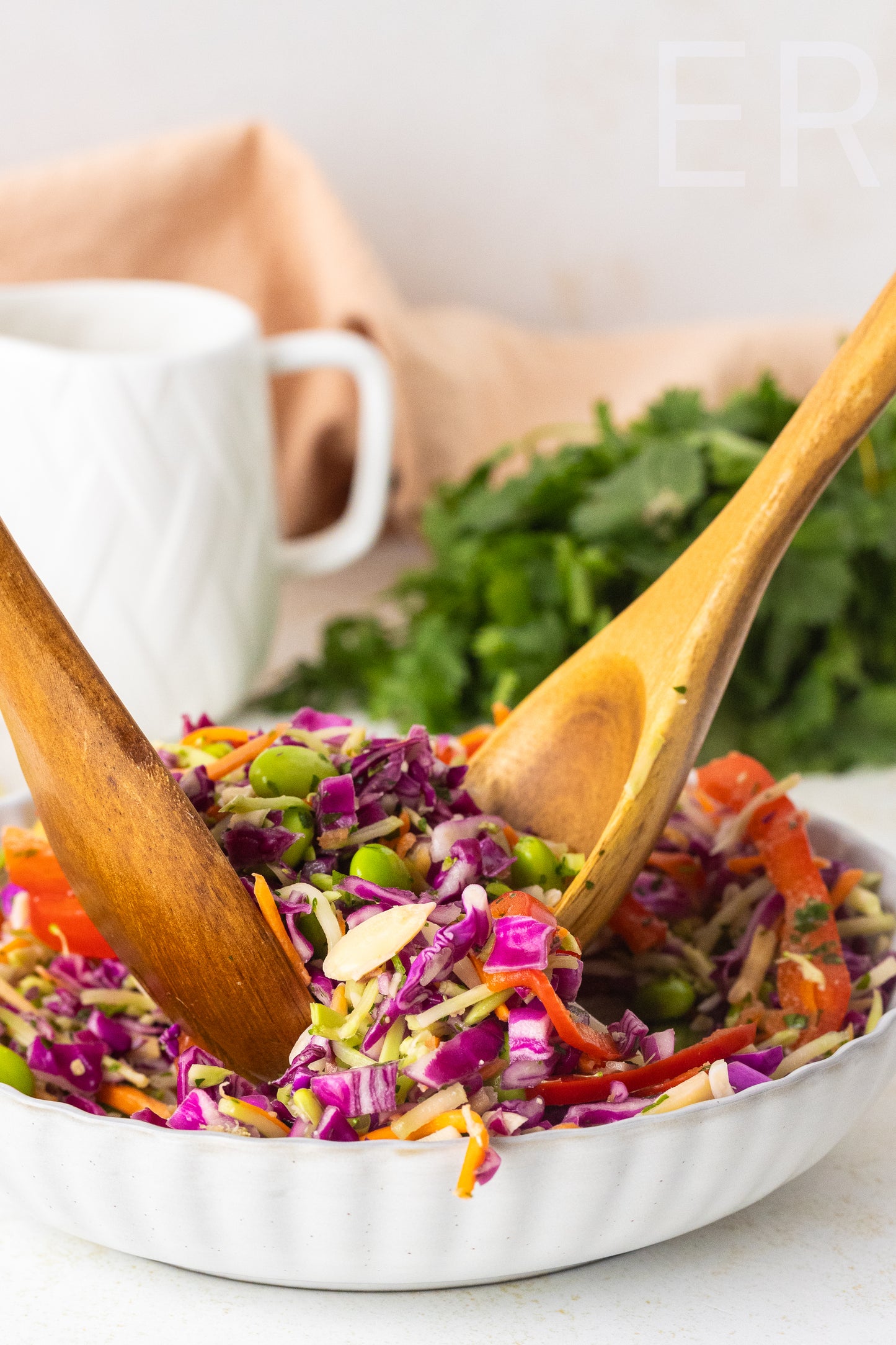 Asian Cabbage Salad