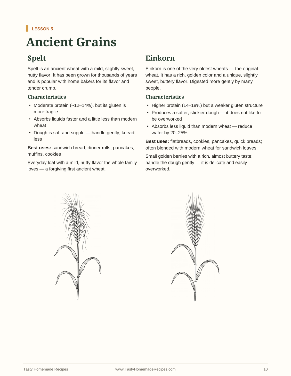 Freshly Milled Flour Basics mini-course — Ancient Grains lesson page