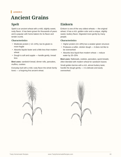 Freshly Milled Flour Basics mini-course — Ancient Grains lesson page